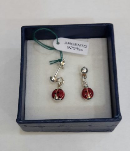Orecchini Argento Br 09